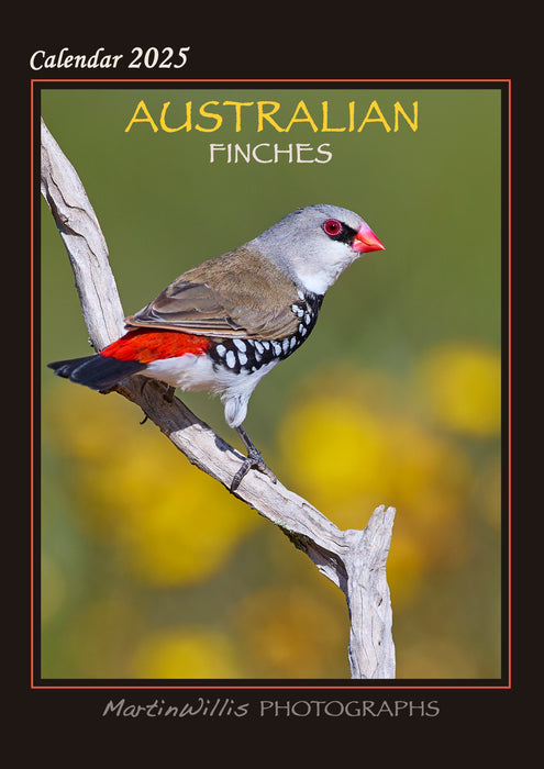 2025 Australian Finches Wall Calendar by  Martin Willis Photographs from Calendar Club