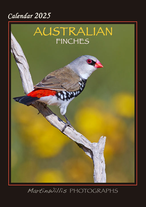 2025 Australian Finches Wall Calendar by  Martin Willis Photographs from Calendar Club