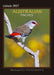 2025 Australian Finches Wall Calendar by  Martin Willis Photographs from Calendar Club