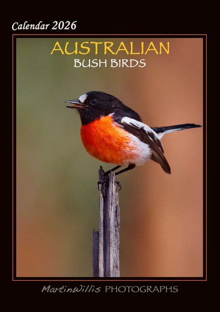 Australian Bush Birds 2026 A4 Wall Calendar