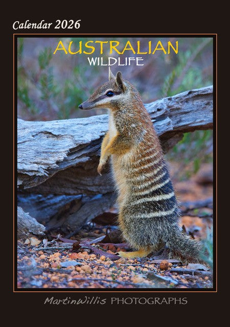Australian Wildlife 2026 A4 Wall Calendar