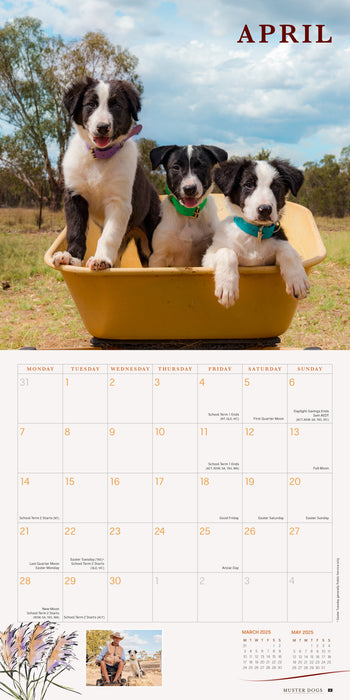 2025 Muster Dogs Wall Calendar