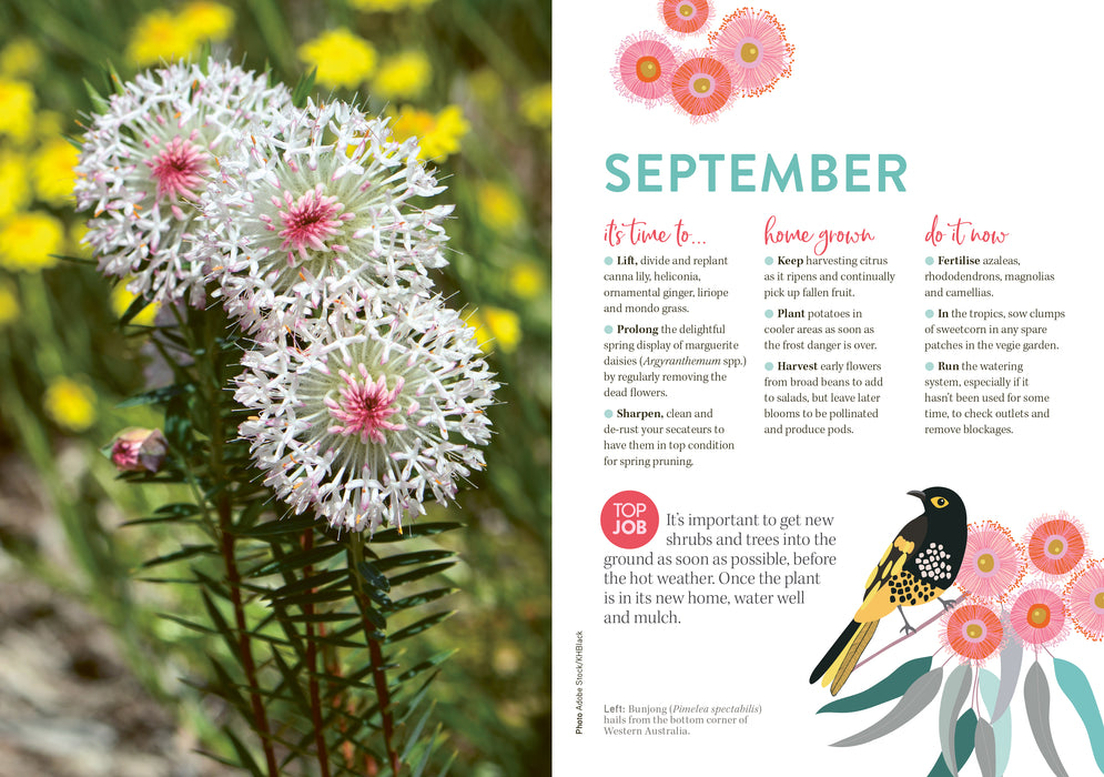 ABC Gardening Australia 2026 Weekly Diary