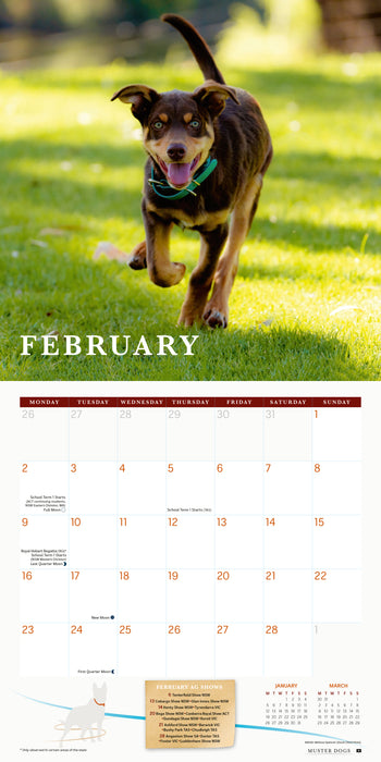 Muster Dogs 2026 Square Wall Calendar