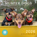 Muster Dogs 2026 Square Wall Calendar