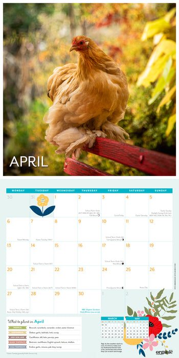 ABC Organic Gardener 2026 Square Wall Calendar