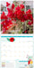 ABC Organic Gardener 2026 Square Wall Calendar
