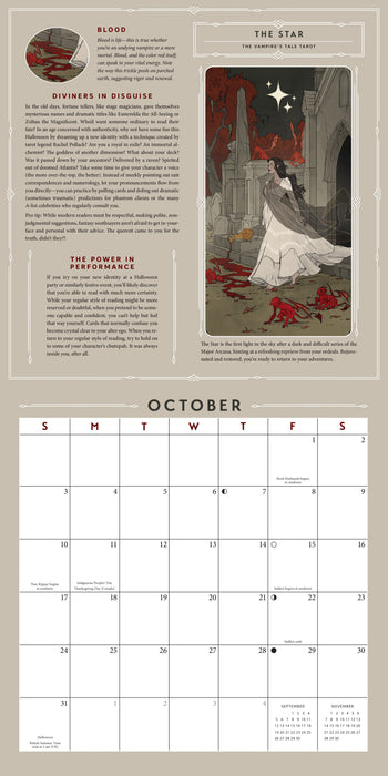 Tarot 2027 Square Wall Calendar (Online Exclusive)