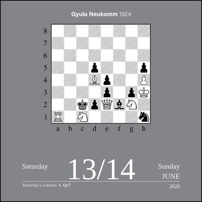 Chess 2026 Page-A-Day Calendar