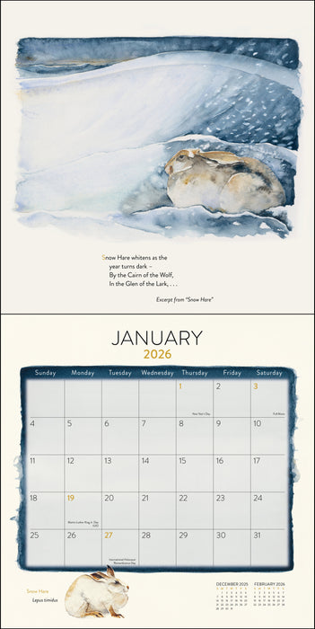 Lost Spells 2026 Square Wall Calendar (Online Exclusive)