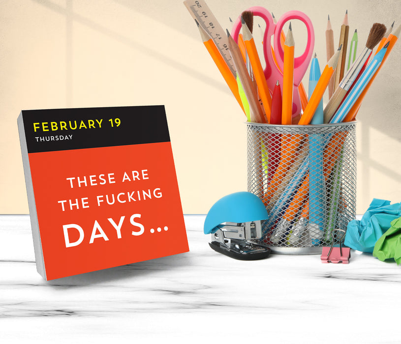 A F*cking 2026 Page-A-Day Calendar