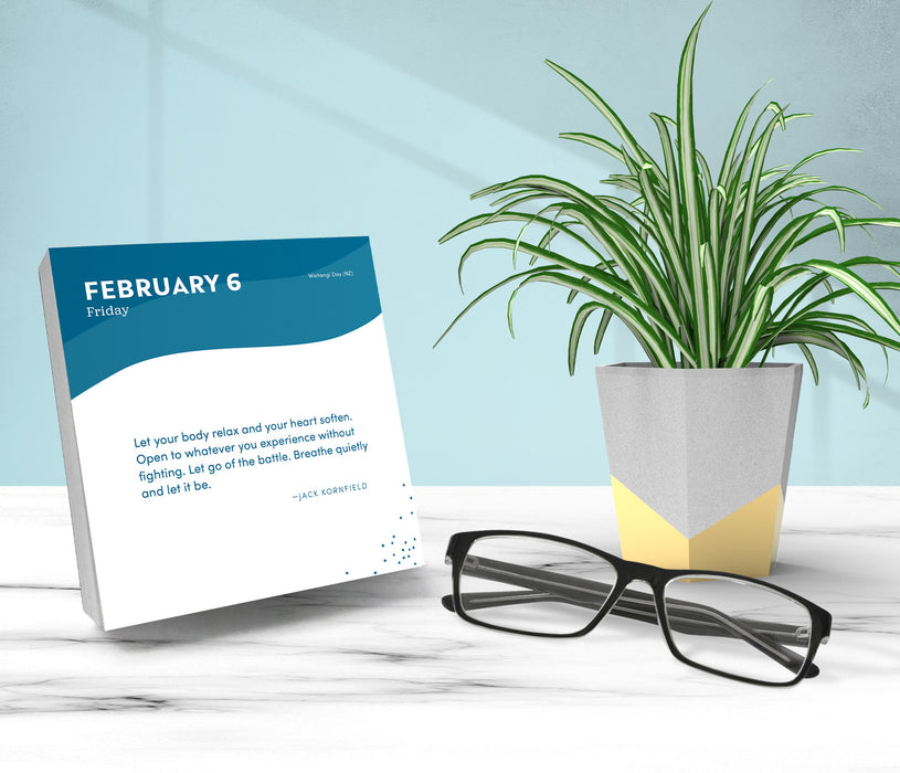 Everyday Calm 2026 Page-A-Day Calendar