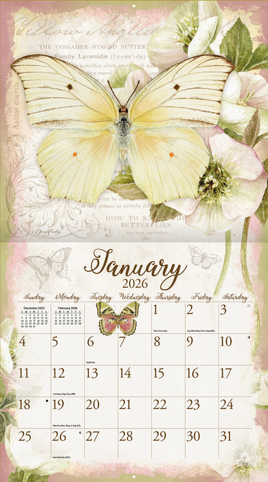 Butterflies 2026 Large Wall Calendar