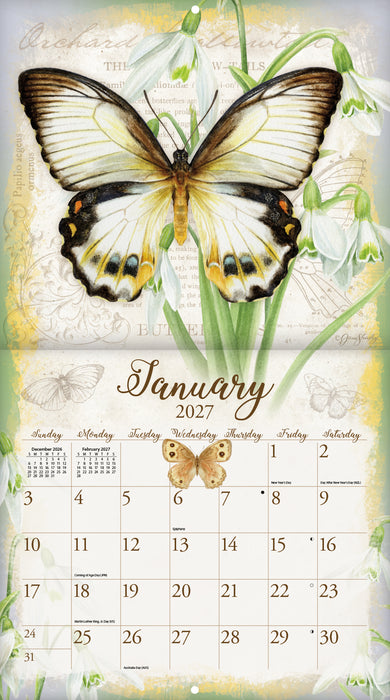 Butterflies 2027 Large Wall Calendar