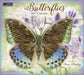 Butterflies 2027 Large Wall Calendar