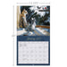 Love Of Cats Special Edition 2027 Large Wall Calendar