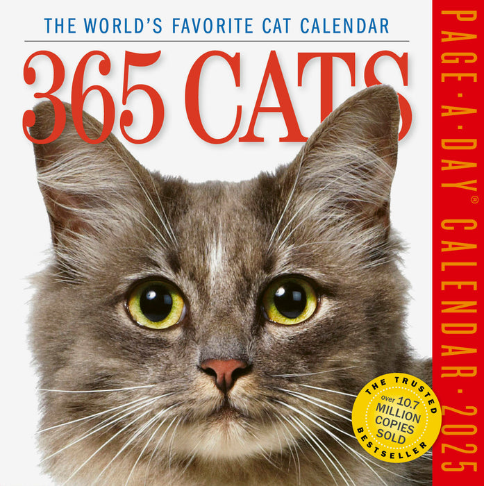 2025 365 Cats Page-A-Day Calendar