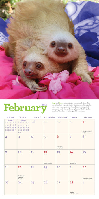 2025 Original Sloths Mini Wall Calendar