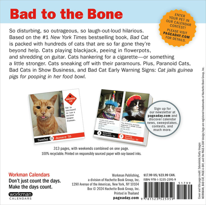 2025 Bad Cat Page-A-Day Calendar