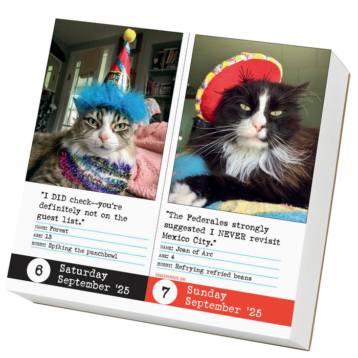 2025 Bad Cat Page-A-Day Calendar