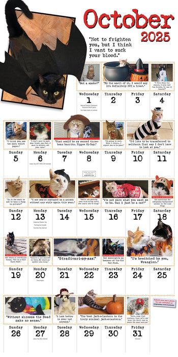 2025 Bad Cat Wall Calendar