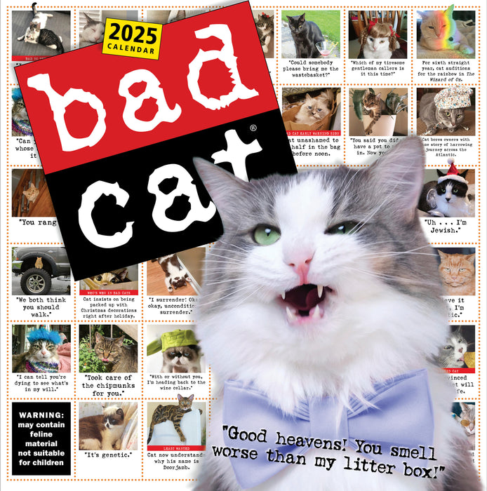 2025 Bad Cat Wall Calendar