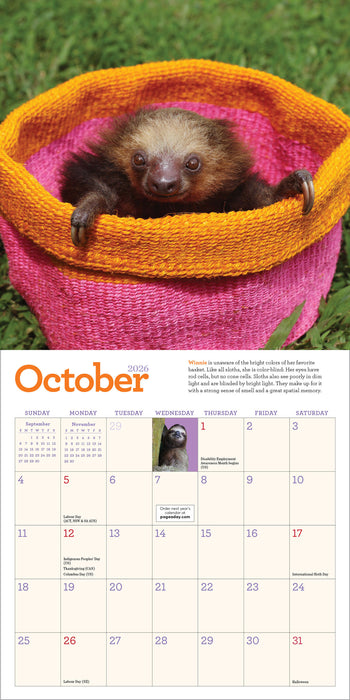 Original Sloths 2026 Mini Wall Calendar