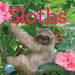 Original Sloths 2026 Mini Wall Calendar