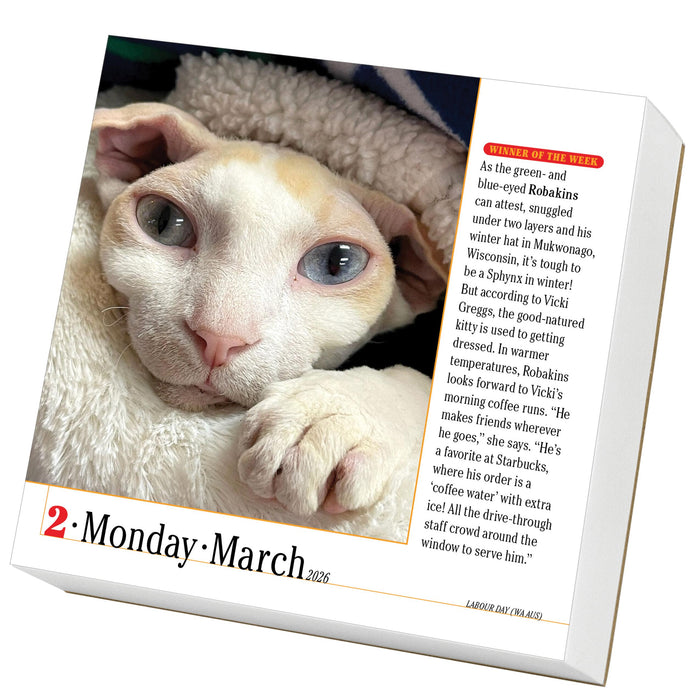 365 Cats 2026 Page-A-Day Calendar