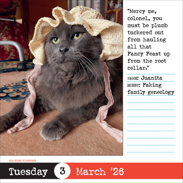 Bad Cat 2026 Page-A-Day Calendar