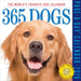 365 Dogs 2026 Page-A-Day Calendar