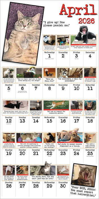 Bad Cat 2026 Square Wall Calendar