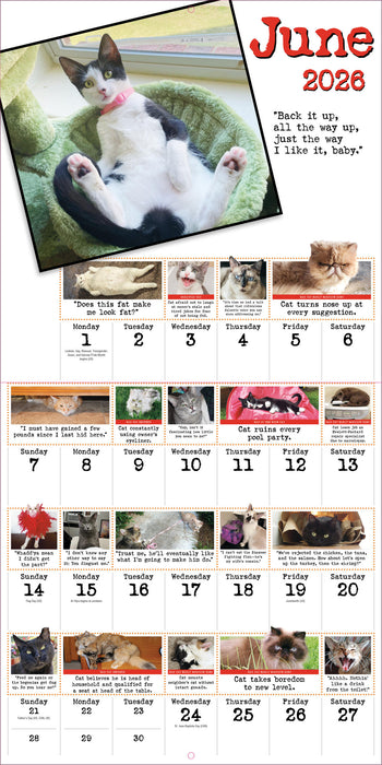 Bad Cat 2026 Square Wall Calendar