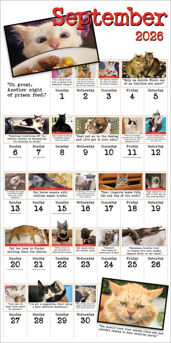 Bad Cat 2026 Square Wall Calendar