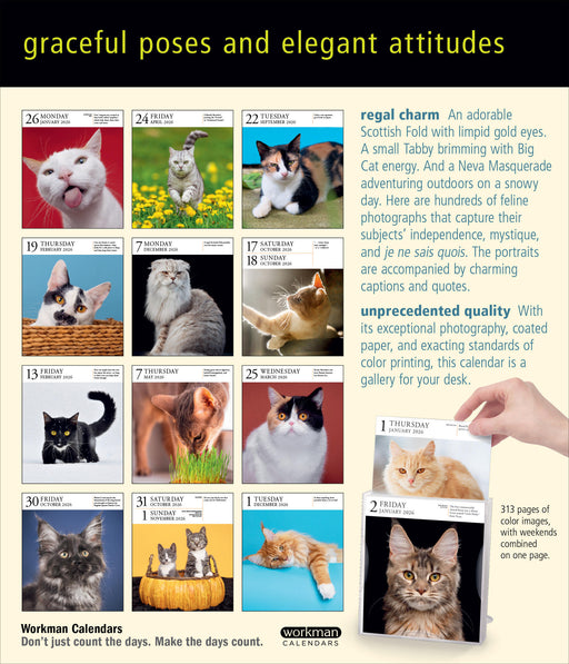 Cat Gallery 2026 Page-A-Day Calendar