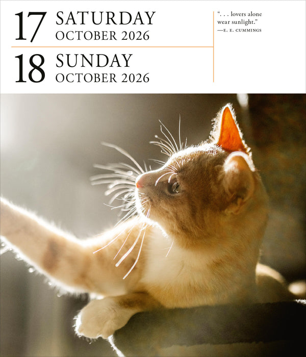 Cat Gallery 2026 Page-A-Day Calendar