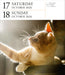 Cat Gallery 2026 Page-A-Day Calendar