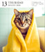 Cat Gallery 2026 Page-A-Day Calendar