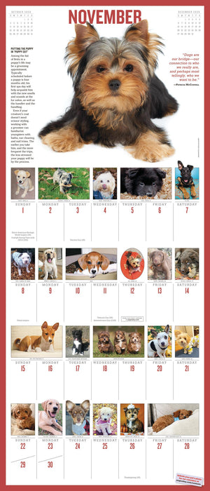 365 Puppies a Year Picture A Day 2026 Square Wall Calendar