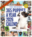 365 Puppies a Year Picture A Day 2026 Square Wall Calendar