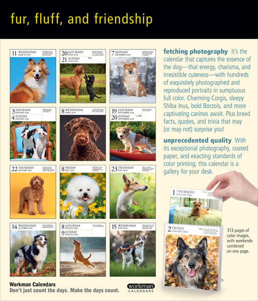 Dog Gallery 2026 Page-A-Day Calendar