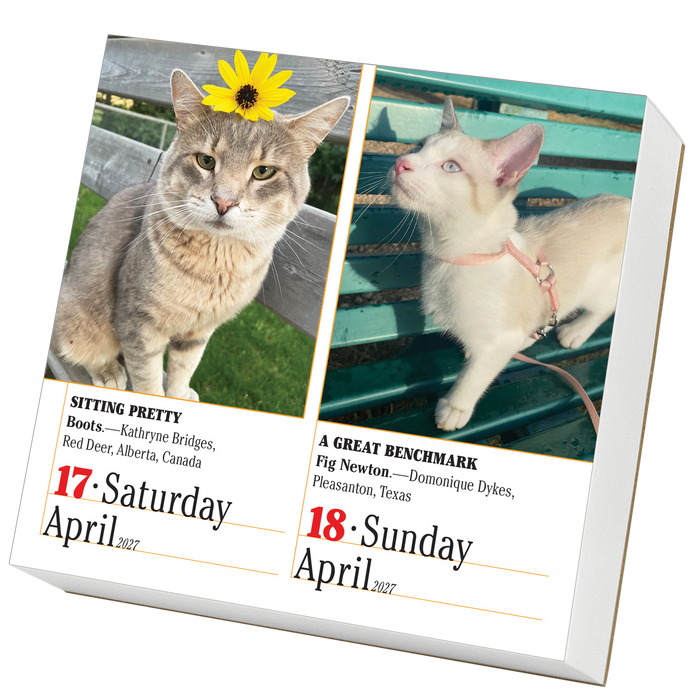 365 Cats 2027 Page-A-Day Calendar