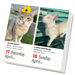 365 Cats 2027 Page-A-Day Calendar