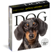 Dog Gallery 2027 Page-A-Day Calendar