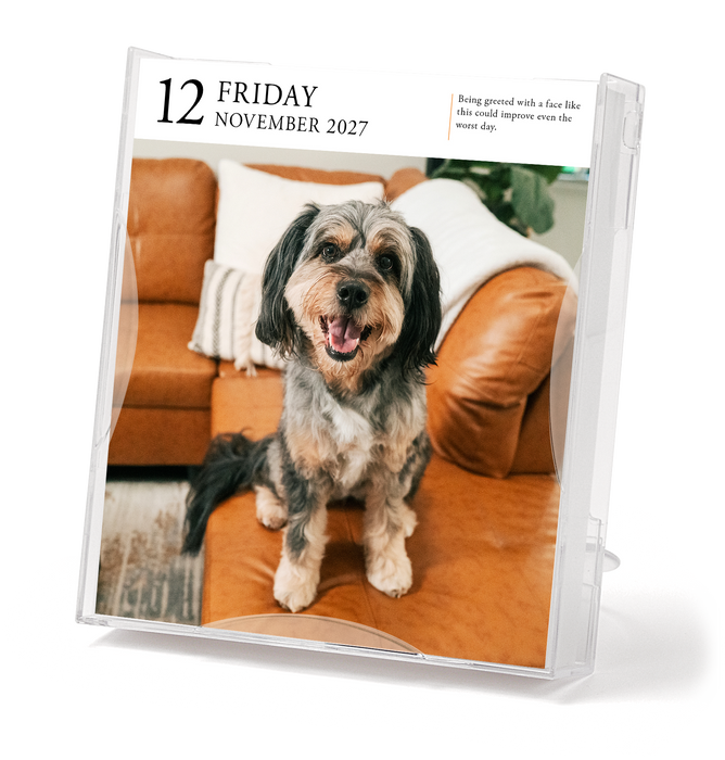 Dog Gallery 2027 Page-A-Day Calendar