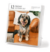 Dog Gallery 2027 Page-A-Day Calendar