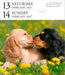 Dog Gallery 2027 Page-A-Day Calendar