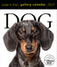 Dog Gallery 2027 Page-A-Day Calendar