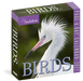 Audubon Birds 2027 Page-A-Day Calendar