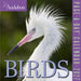 Audubon Birds 2027 Page-A-Day Calendar